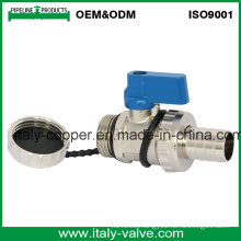 OEM&ODM Quality Nickel Plated Brass Drain Ball Valve (AV1050)